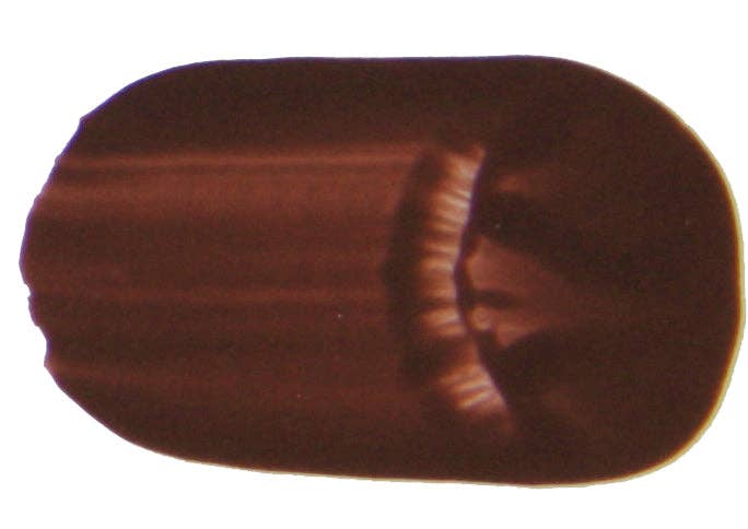 Primary Liquid Acrylic: Leaf Green / 500mL